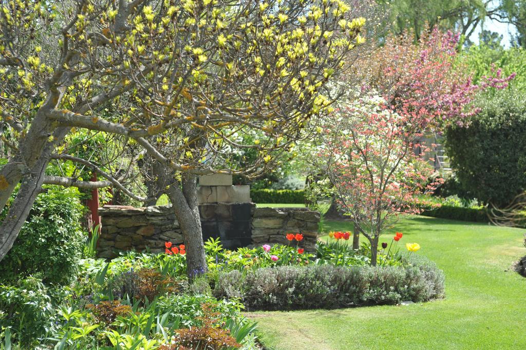 Alexandra Garden Court Motel Buitenkant foto